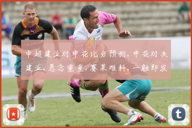中超建业对申花比分预测,申花对决建业,悬念重重,赛果难料,一触即发,谁将笑到最后