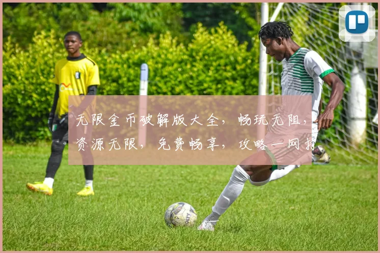 无限金币破解版大全，畅玩无阻，资源无限，免费畅享，攻略一网打尽