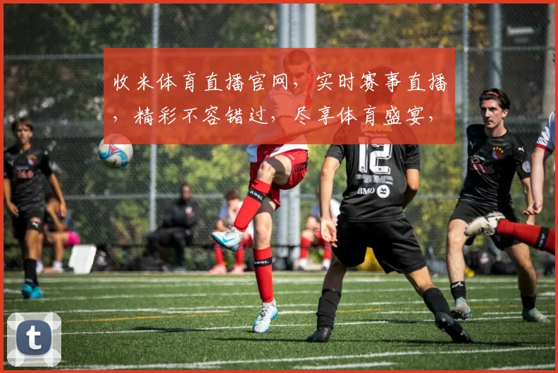 收米体育直播官网，实时赛事直播，精彩不容错过，尽享体育盛宴，一网打尽