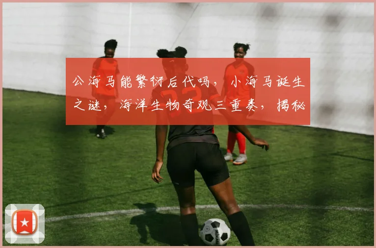 公海马能繁衍后代吗，小海马诞生之谜，海洋生物奇观三重奏，揭秘